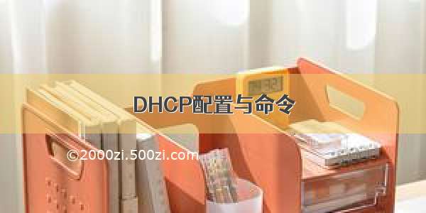 DHCP配置与命令
