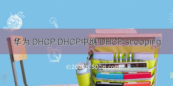 华为 DHCP DHCP中继 DHCP snooping