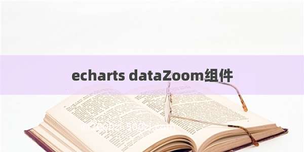 echarts dataZoom组件