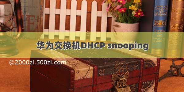 华为交换机DHCP snooping