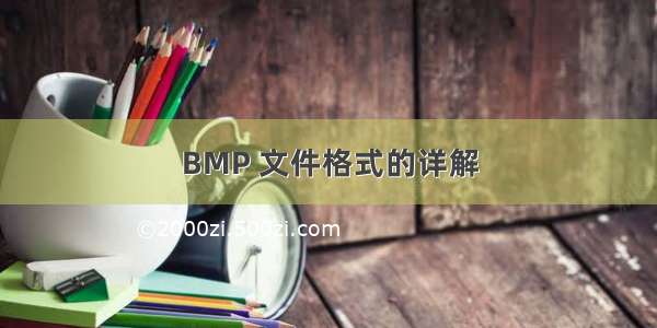 BMP 文件格式的详解