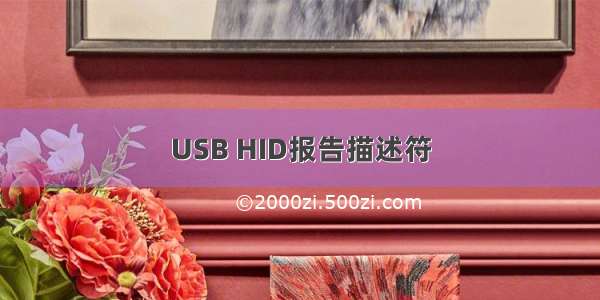 USB HID报告描述符