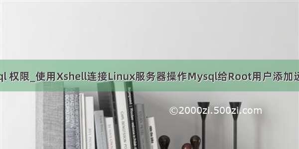 xshell mysql 权限_使用Xshell连接Linux服务器操作Mysql给Root用户添加远程访问权限