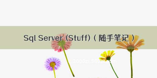 Sql Server (Stuff)（随手笔记）