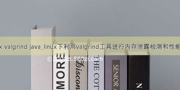 Linux valgrind java_linux下利用valgrind工具进行内存泄露检测和性能分析