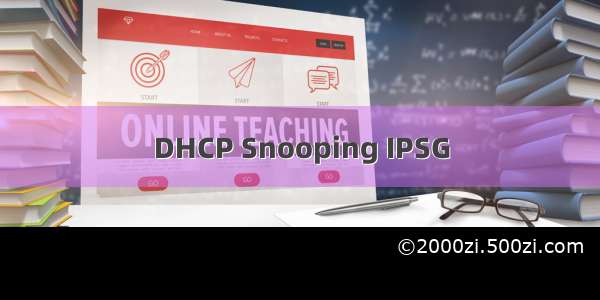 DHCP Snooping IPSG