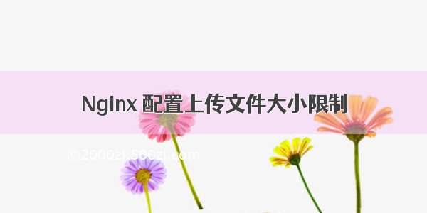 Nginx 配置上传文件大小限制