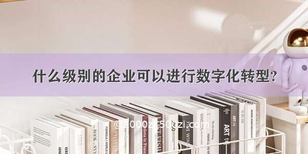 什么级别的企业可以进行数字化转型?