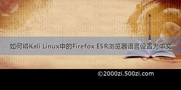 如何将Kali Linux中的Firefox ESR浏览器语言设置为中文