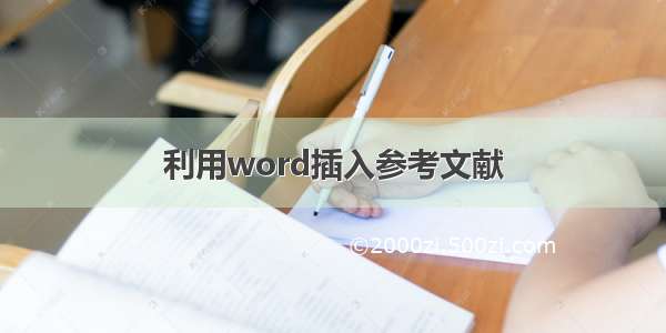 利用word插入参考文献