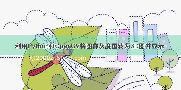 利用Python和OpenCV将图像灰度图转为3D图并显示