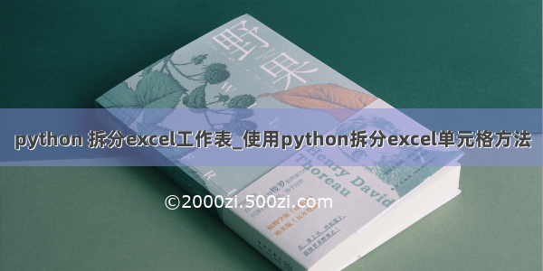 python 拆分excel工作表_使用python拆分excel单元格方法