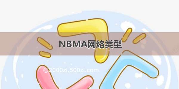NBMA网络类型