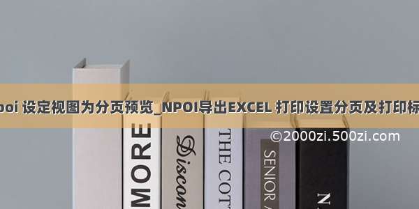 npoi 设定视图为分页预览_NPOI导出EXCEL 打印设置分页及打印标题