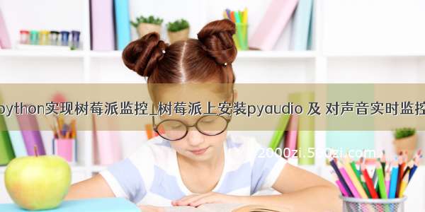 python实现树莓派监控_树莓派上安装pyaudio 及 对声音实时监控