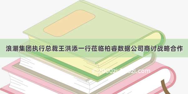 浪潮集团执行总裁王洪添一行莅临柏睿数据公司商讨战略合作