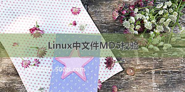 Linux中文件MD5校验
