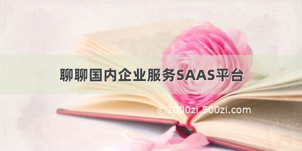 聊聊国内企业服务SAAS平台