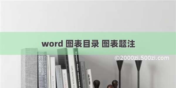 word 图表目录 图表题注