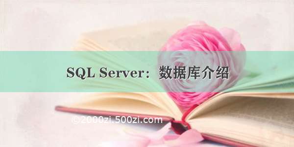 SQL Server：数据库介绍