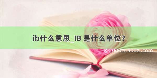 ib什么意思_IB 是什么单位？