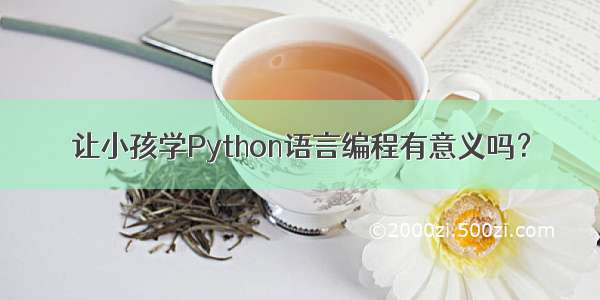 让小孩学Python语言编程有意义吗？