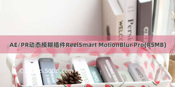 AE/PR动态模糊插件ReelSmart MotionBlur Pro(RSMB)