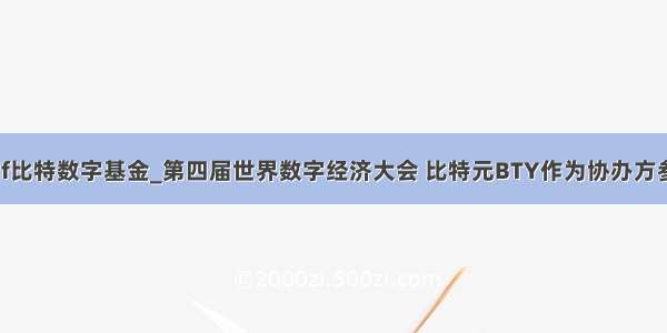 bdf比特数字基金_第四届世界数字经济大会 比特元BTY作为协办方参与