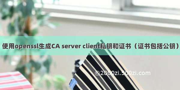 使用openssl生成CA server client私钥和证书（证书包括公钥）