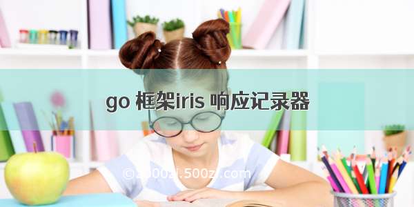 go 框架iris 响应记录器