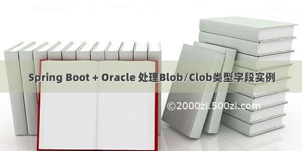 Spring Boot + Oracle 处理Blob/Clob类型字段实例