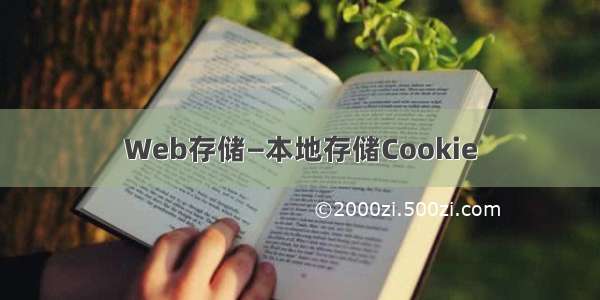 Web存储—本地存储Cookie