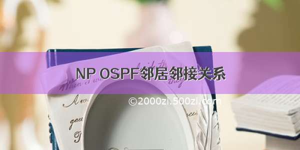 NP OSPF邻居邻接关系