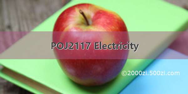 POJ2117 Electricity
