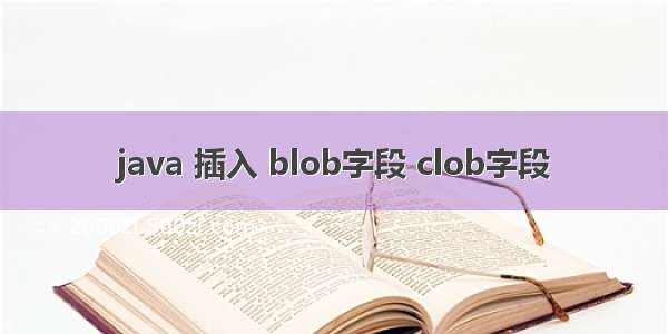 java 插入 blob字段 clob字段