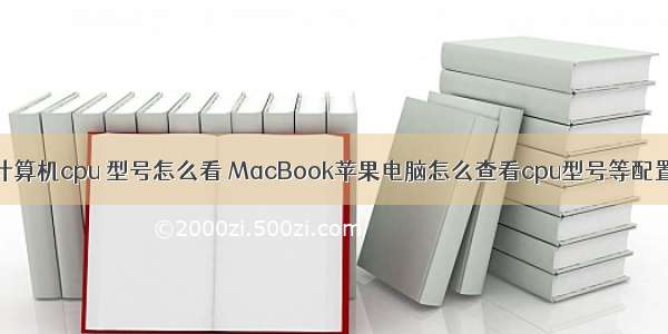 苹果计算机cpu 型号怎么看 MacBook苹果电脑怎么查看cpu型号等配置详情