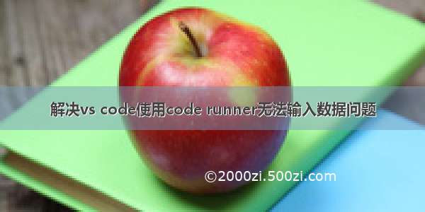 解决vs code使用code runner无法输入数据问题