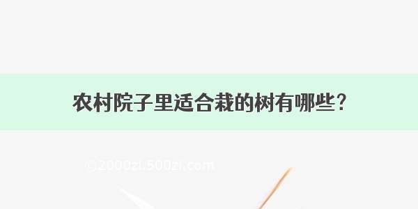 农村院子里适合栽的树有哪些？