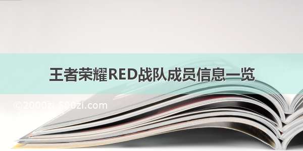 王者荣耀RED战队成员信息一览