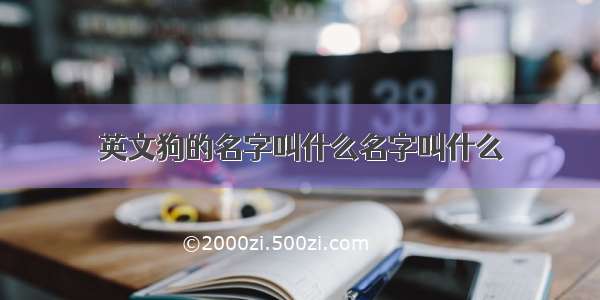 英文狗的名字叫什么名字叫什么