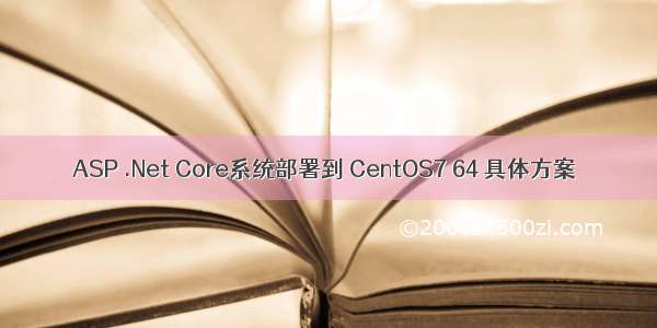 ASP .Net Core系统部署到 CentOS7 64 具体方案