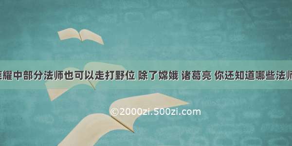 王者荣耀中部分法师也可以走打野位 除了嫦娥 诸葛亮 你还知道哪些法师打野？