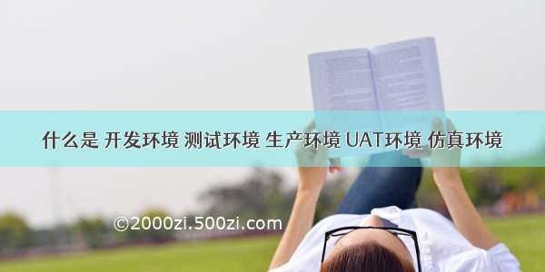 什么是 开发环境 测试环境 生产环境 UAT环境 仿真环境