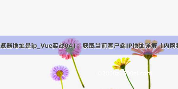 vue 浏览器地址是ip_Vue实战041：获取当前客户端IP地址详解（内网和外网）