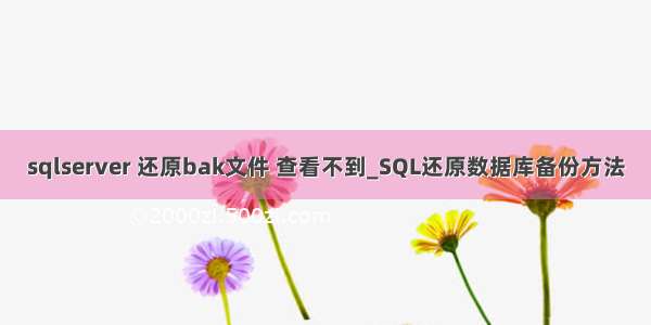 sqlserver 还原bak文件 查看不到_SQL还原数据库备份方法