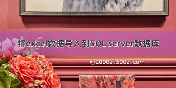 将excel数据导入到SQL server数据库