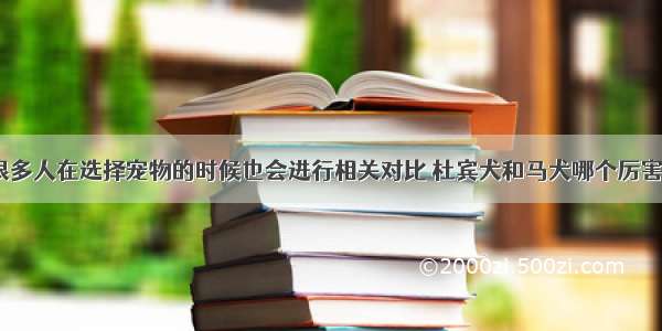 很多人在选择宠物的时候也会进行相关对比 杜宾犬和马犬哪个厉害？