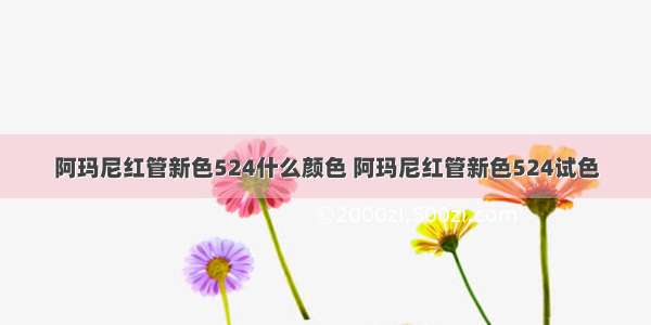 阿玛尼红管新色524什么颜色 阿玛尼红管新色524试色