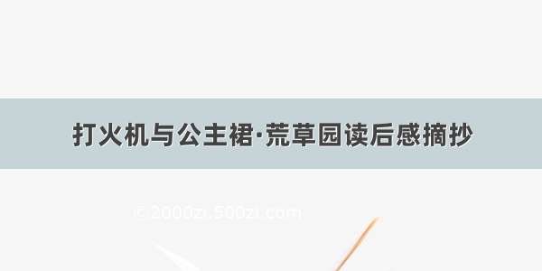 打火机与公主裙·荒草园读后感摘抄