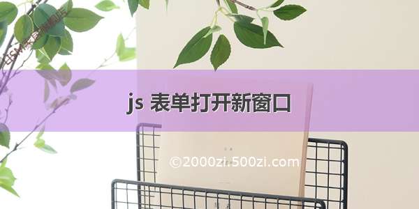 js 表单打开新窗口